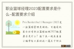 职业篮球经理2023配置要求是什么-配置要求介绍