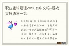 职业篮球经理2023有中文吗-游戏支持语言一览