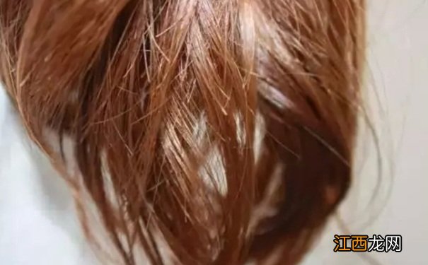 头发干枯毛躁用什么洗发水好?头发干枯毛躁洗发水推荐