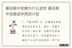 暴风眼中安静为什么退学 暴风眼中安静退学原因介绍