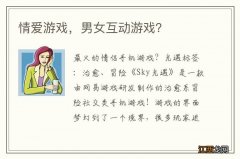 情爱游戏，男女互动游戏？