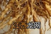 喉咙有异物痰中带血丝怎么办 食疗、粥疗、药膳一应俱全