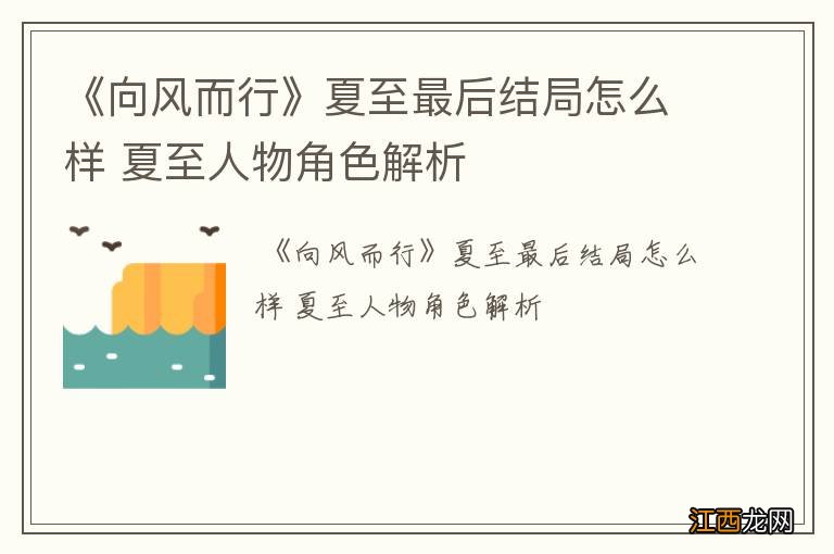 《向风而行》夏至最后结局怎么样 夏至人物角色解析