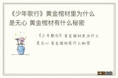 《少年歌行》黄金棺材里为什么是无心 黄金棺材有什么秘密