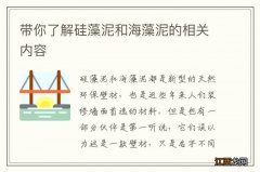 带你了解硅藻泥和海藻泥的相关内容