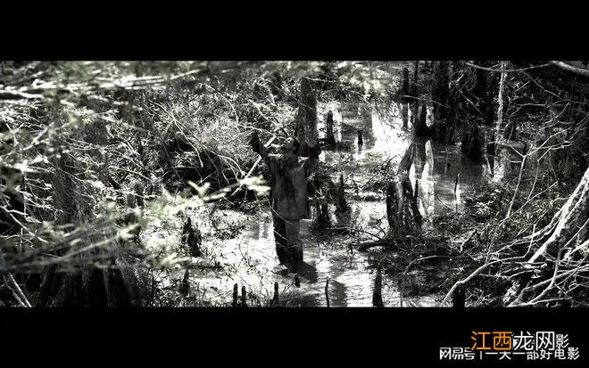 被狂刷差评，威尔·史密斯太冤枉了《解放黑奴》