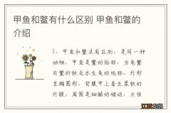 甲鱼和鳖有什么区别 甲鱼和鳖的介绍