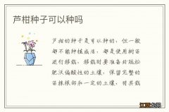 芦柑种子可以种吗