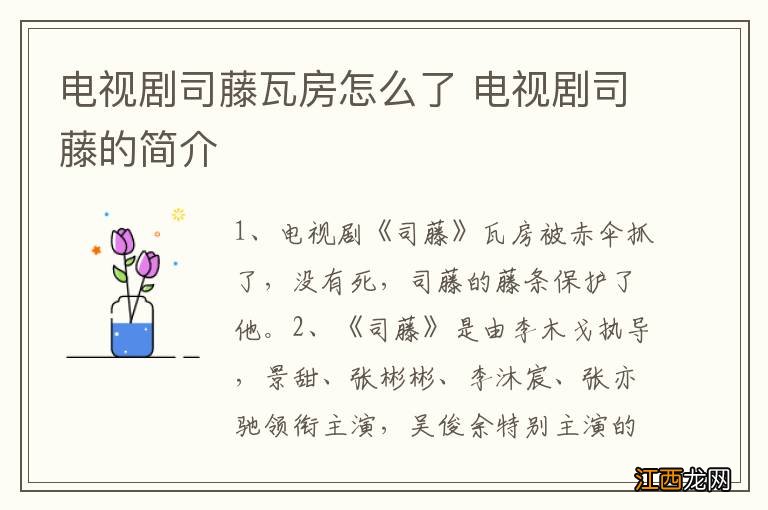 电视剧司藤瓦房怎么了 电视剧司藤的简介