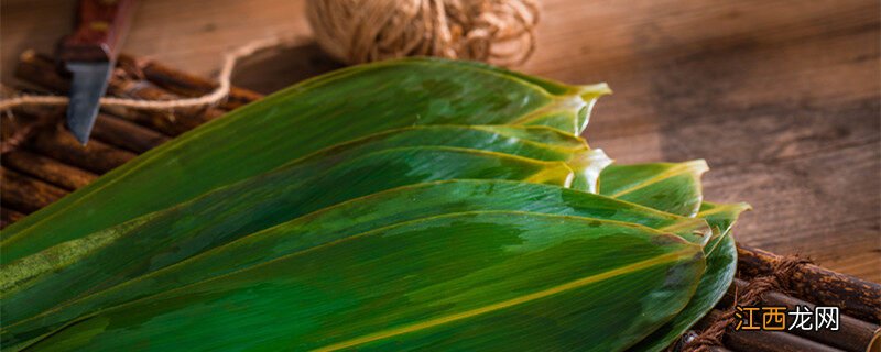 蜘蛛抱蛋是什么植物图片 蜘蛛抱蛋是什么植物