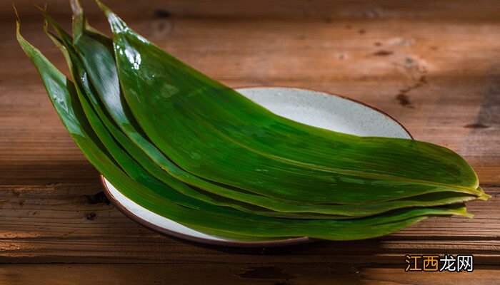 蜘蛛抱蛋是什么植物图片 蜘蛛抱蛋是什么植物