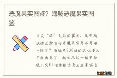 恶魔果实图鉴？海贼恶魔果实图鉴