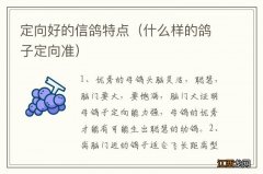 什么样的鸽子定向准 定向好的信鸽特点