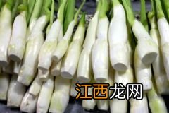 如何进鉴别甲醛白菜？挑选白菜的技巧有哪些？