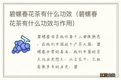 碧螺春花茶有什么功效与作用 碧螺春花茶有什么功效