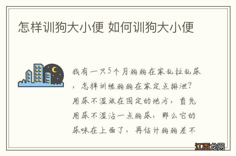 怎样训狗大小便 如何训狗大小便
