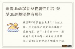 暖雪dlc烬梦新圣物属性介绍-烬梦dlc新增圣物有哪些