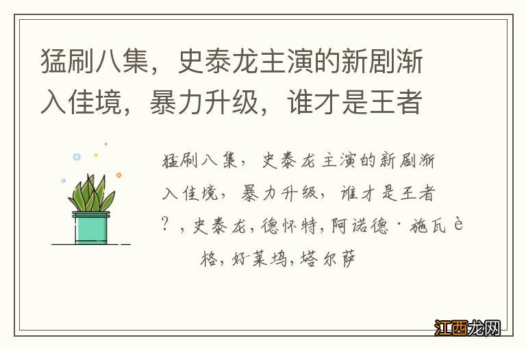 猛刷八集,史泰龙主演的新剧渐入佳境,暴力升级,谁才是王者?