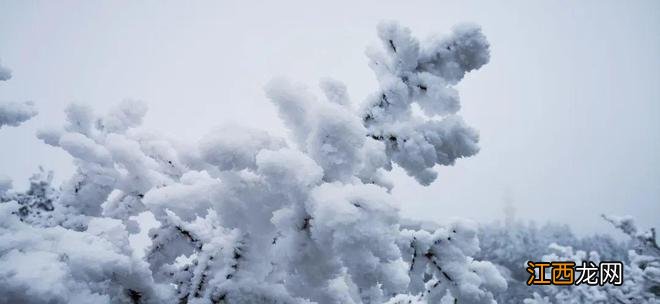 刚刚出炉的峨眉山雪景图