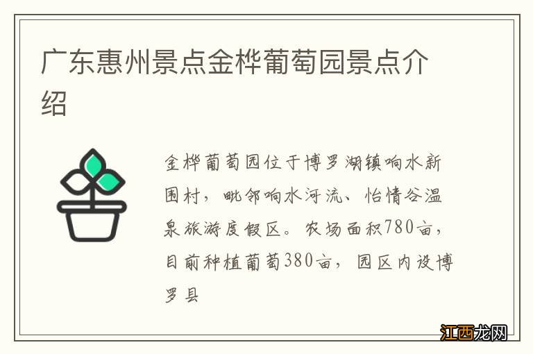 广东惠州景点金桦葡萄园景点介绍
