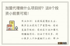 加盟代理做什么项目好？这8个投资小前景可观！