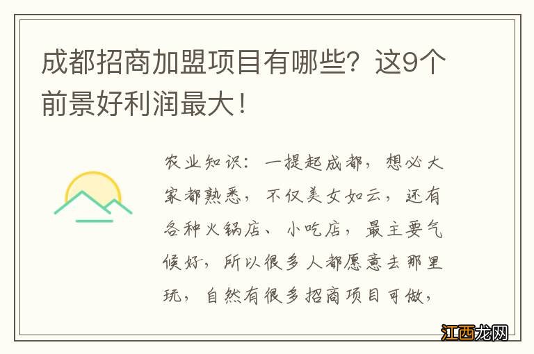 成都招商加盟项目有哪些？这9个前景好利润最大！