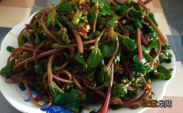 哪些野菜有利于健康?吃什么野菜对身体好?