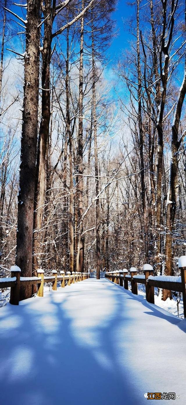 冬天，龙湾因雪而美