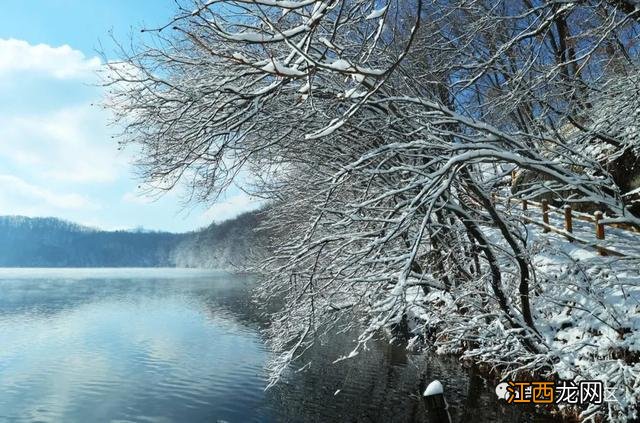 冬天，龙湾因雪而美