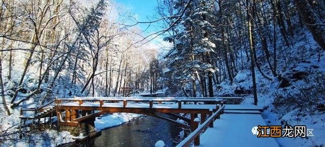 冬天，龙湾因雪而美