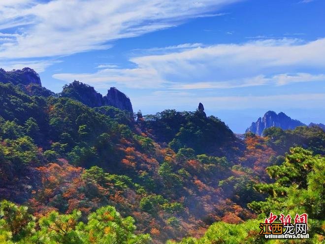 层林尽染秋韵浓 安徽黄山风景区迎来“醉”美秋景