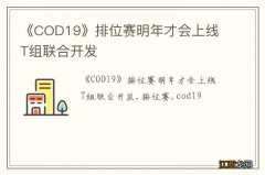 《COD19》排位赛明年才会上线 T组联合开发