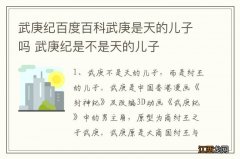 武庚纪百度百科武庚是天的儿子吗 武庚纪是不是天的儿子