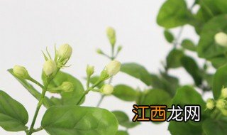 关于时间流逝的句子 有关时间飞快的句子