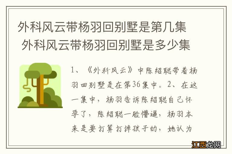 外科风云带杨羽回别墅是第几集 外科风云带杨羽回别墅是多少集