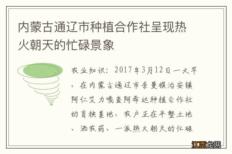 内蒙古通辽市种植合作社呈现热火朝天的忙碌景象