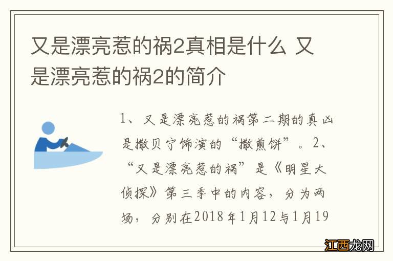 又是漂亮惹的祸2真相是什么 又是漂亮惹的祸2的简介