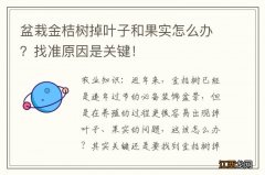 盆栽金桔树掉叶子和果实怎么办？找准原因是关键！