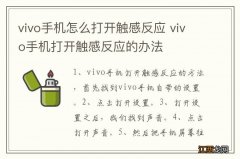 vivo手机怎么打开触感反应 vivo手机打开触感反应的办法