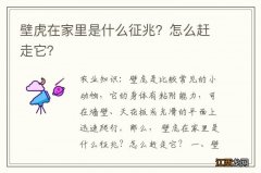 壁虎在家里是什么征兆？怎么赶走它？