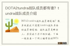 DOTA2tundra战队成员都有谁？tundra战队成员介绍