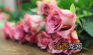 做什么玫瑰花最适合教师节 教师节送什么花合适