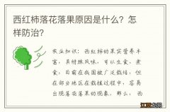 西红柿落花落果原因是什么？怎样防治？