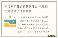 电视剧司藤的原著是什么 电视剧司藤讲述了什么故事