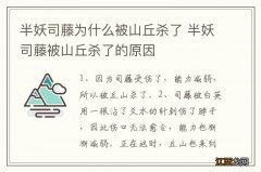 半妖司藤为什么被山丘杀了 半妖司藤被山丘杀了的原因