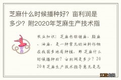 芝麻什么时候播种好？亩利润是多少？附2020年芝麻生产技术指导意