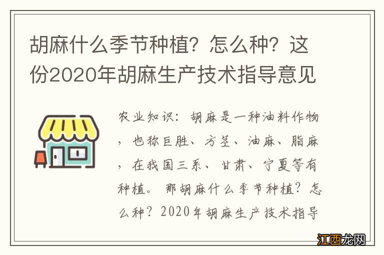 胡麻什么季节种植？怎么种？这份2020年胡麻生产技术指导意见请收