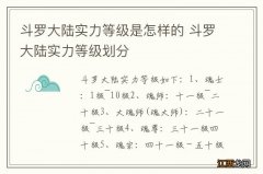 斗罗大陆实力等级是怎样的 斗罗大陆实力等级划分