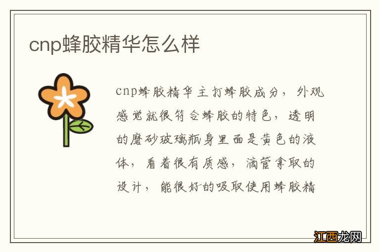 cnp蜂胶精华怎么样