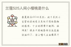 兰蔻525人间小樱桃是什么